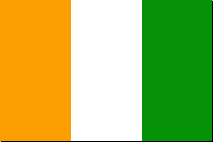 Irische Nationalflagge 1848